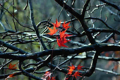 납회의 계절 입니다.