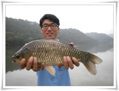 44.4cm, 초대형급 출현 ~~