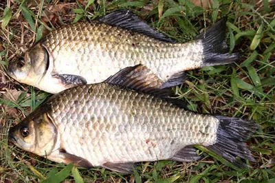 분위기 있는 경산의 저수지