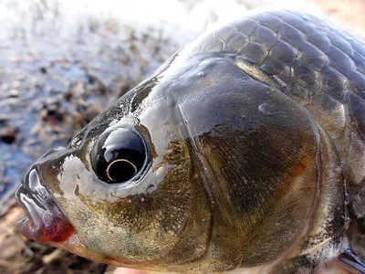 이제 터지네요......