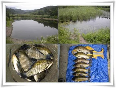 소류지 상황과 위천강 조황 ~~