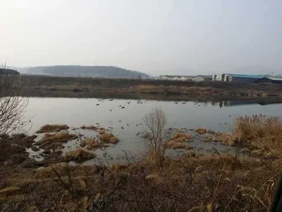 [청미천] 얼음 100% 녹았습니다