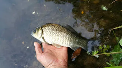 봄의 끝자락 [용성편]