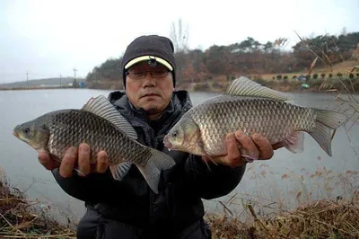 대물 힘 좋습니다.