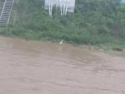 [고삼지]물 폭탄