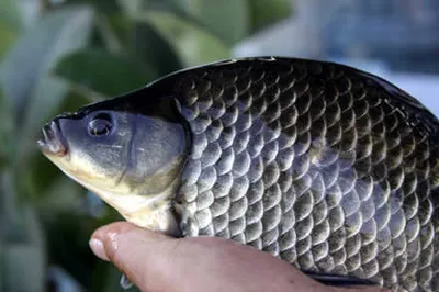 짙어가는 가을-경산권 소식입니다.