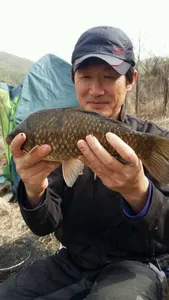 [두창지] 떡붕어보다는 토종들이