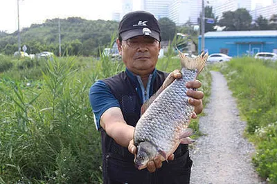 한여름에 드리는 출조 안내 입니다.