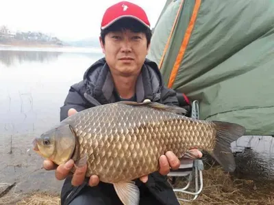 [고삼지] 노지에서 입질 받으면 4짜