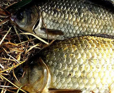 너무좋은 날씨-주말조황 안내 입니다.