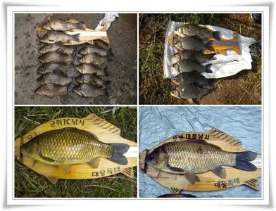 엄청난 대박조황들 ~~