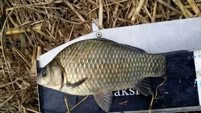 대구.동부권 소식 입니다.