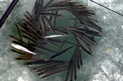 대단합니다......