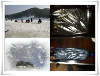 빙어낚시(가까운 군위권 빙어낚시터들) ~~