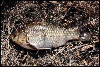 봄을 기다리는 Hot한 저수지들.