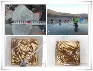 군위빙어 대박조과 ~~