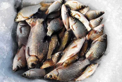 축제를 연상케하며....