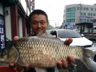 [고삼지] 기습 폭우