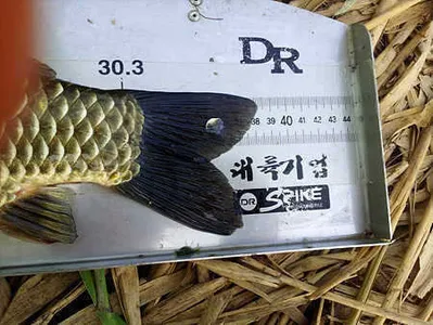 시즌을 준비하는 마음으로....