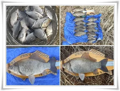 시작부터 대박,4짜까지~~