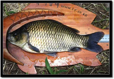 비온뒤의 저수지 풍경