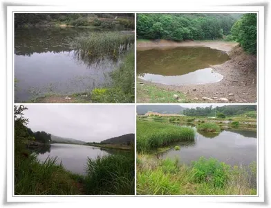 소류지와 위천강 ~~