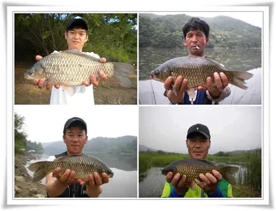 대형급의 출몰 ~~