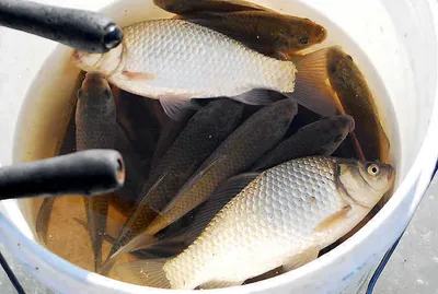 물낚시 가능한 저수지들.........