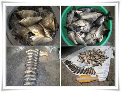 엄청난 대박조과 ~~