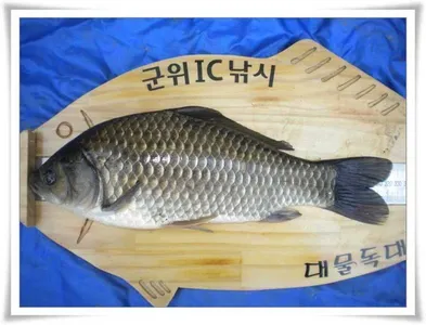 저수지상황과 위천조황 ~~