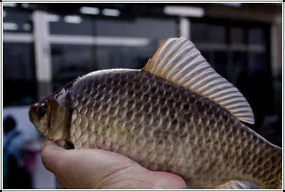 경칩이 지난 봄 풍경