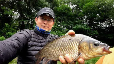 유월의 경산권 조황안내