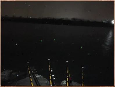 진위천 조황 소식