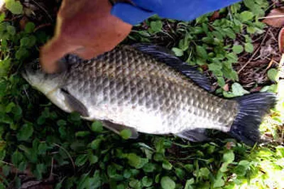 월척 낚기 좋은 계절