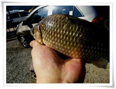 경산,대창권 저수지 현황