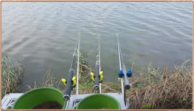 진위천 조황 소식