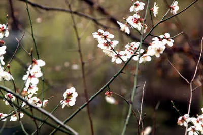 문을 활짝연 봄 시즌
