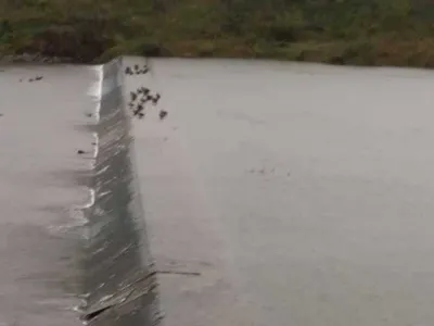 [청미천] 비가 내렸지만 낚시가능