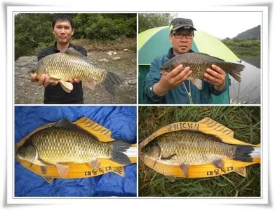 43,42,최근조황과 지난조황 ~~