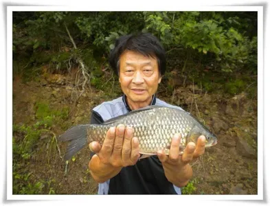 가을시즌시작 37.5 ~~