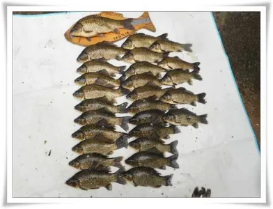 4짜와 월척26수(생자리의 위력) ~~