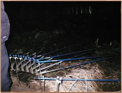 진위천 조황 소식