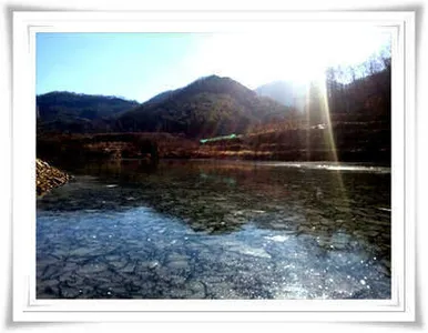 송백지 빙어조황