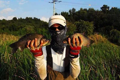 풍성한 조과  .....