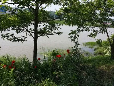 [청미천] 전경입니디ㅏ