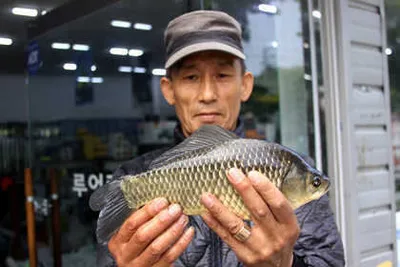 5월 중순에 드리는 조황안내 입니다.