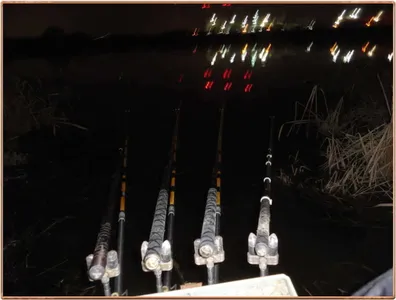 진위천 조황 소식