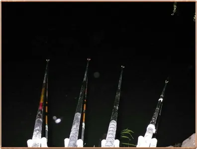 진위천 조황 소식