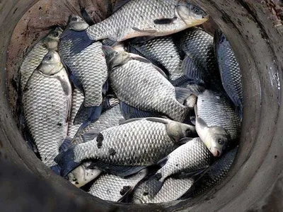 터졌구나 대박조과.......