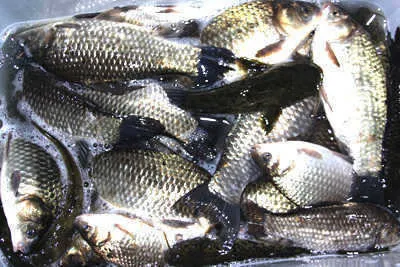 새로운 시즌을 맞을 시기 입니다.